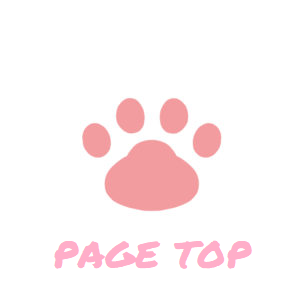 PAGE TOP